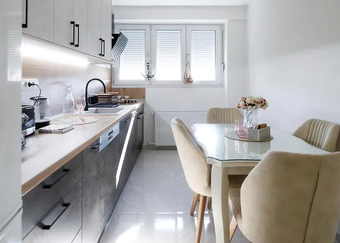 Fair-novi Sad Na Dan *