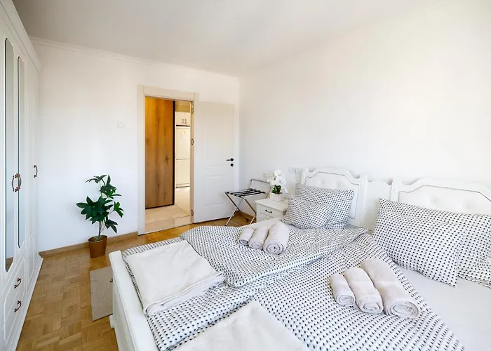 Fair-novi Sad Na Dan * Novi Sad